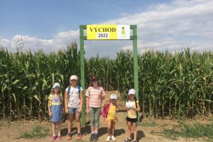 IMG-20220731-WA0025 IMG-20220731-WA0025